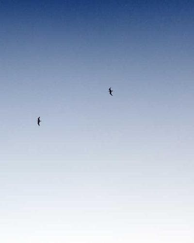 Selected work 12