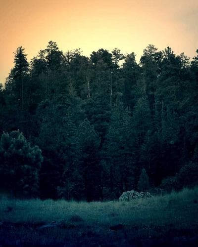 Selected work 13