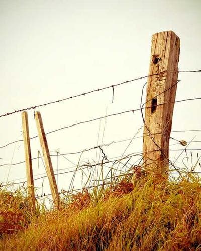 Selected work 16