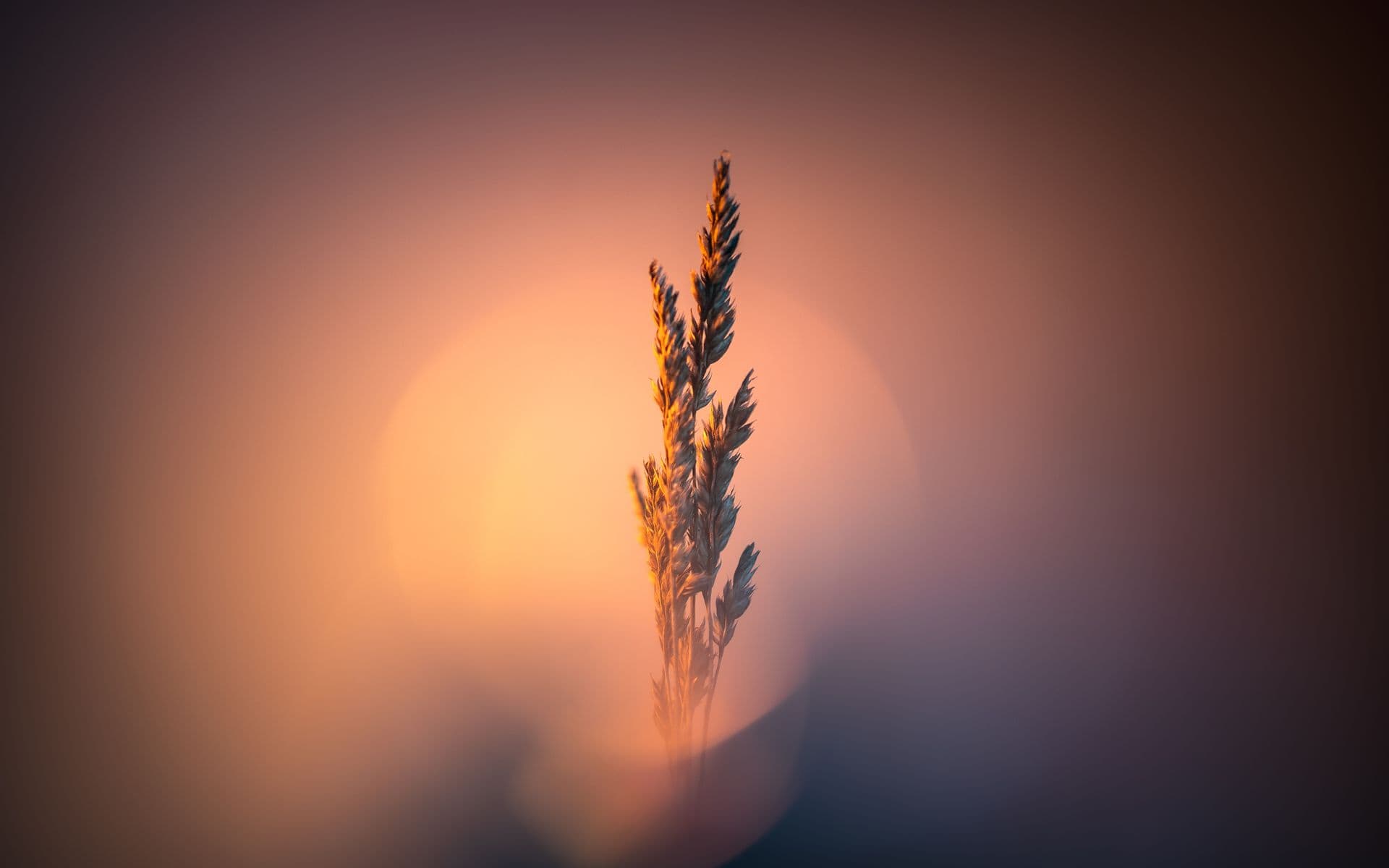 Abstract background