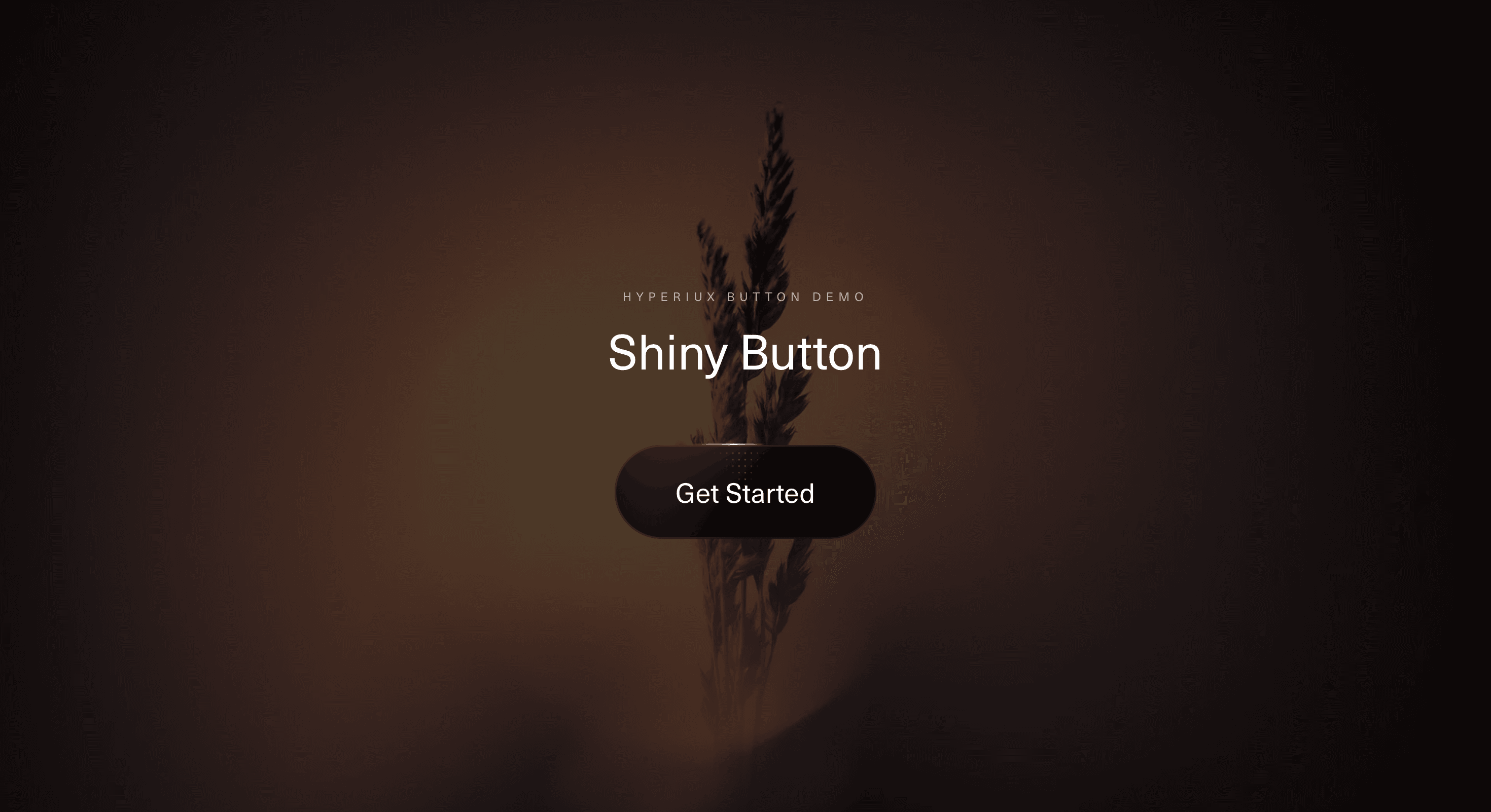 Shiny Button