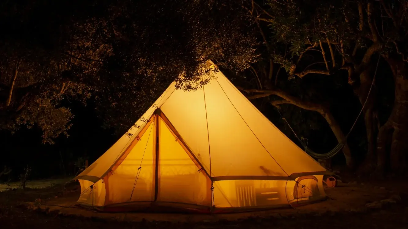 Glowing bell tent under olive trees at night