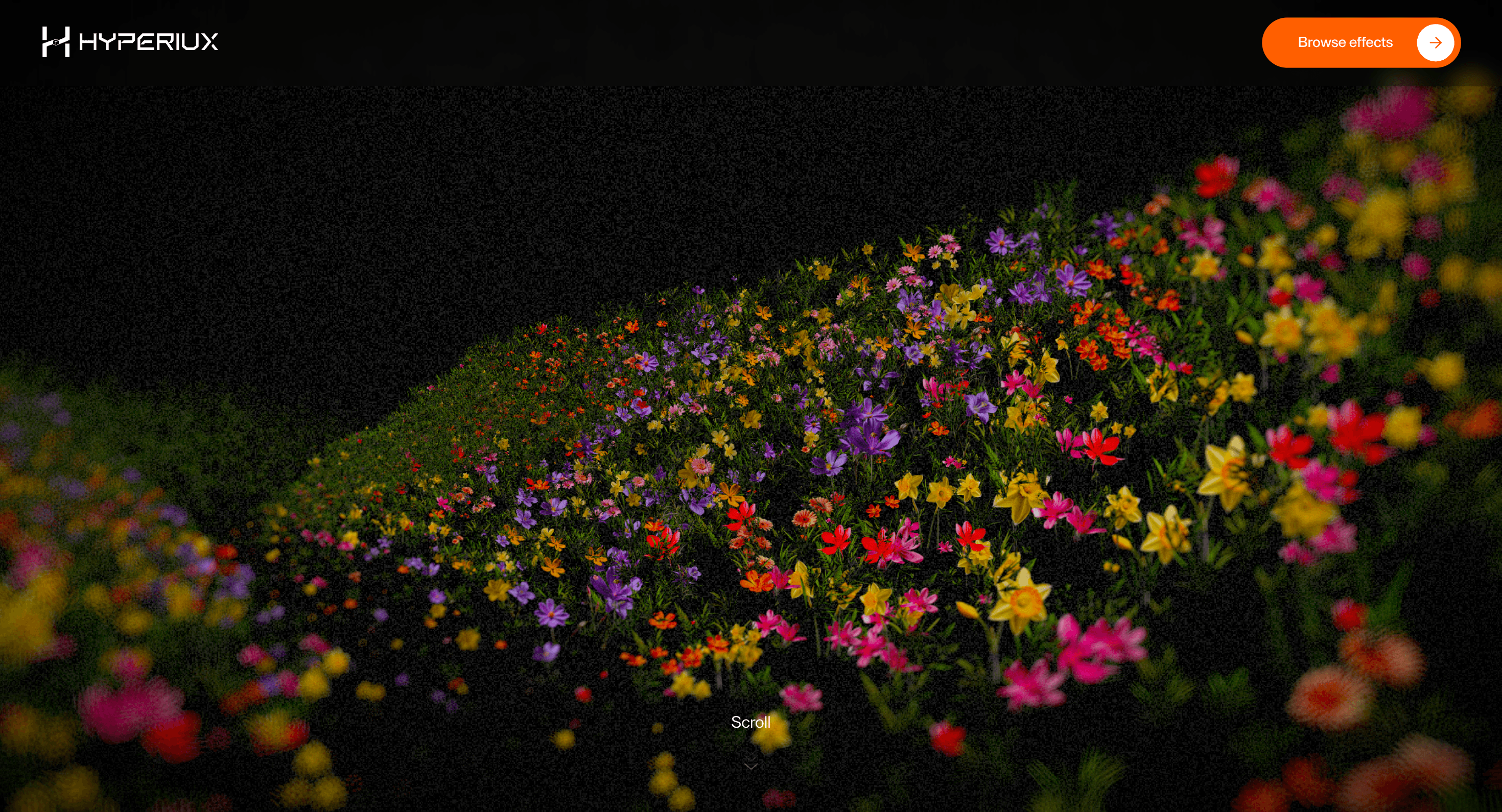 Progressive Bloom Valley